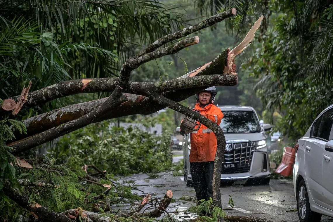 In separate incidents on Oct 22, a man was killed and a woman was injured when trees fell onto their cars during a heavy downpour in the city.