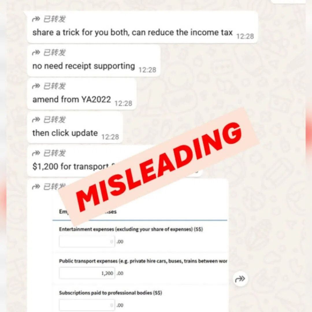 In the messages that were being circulated, taxpayers were encouraged to make false claims for employment expenses that were not incurred.