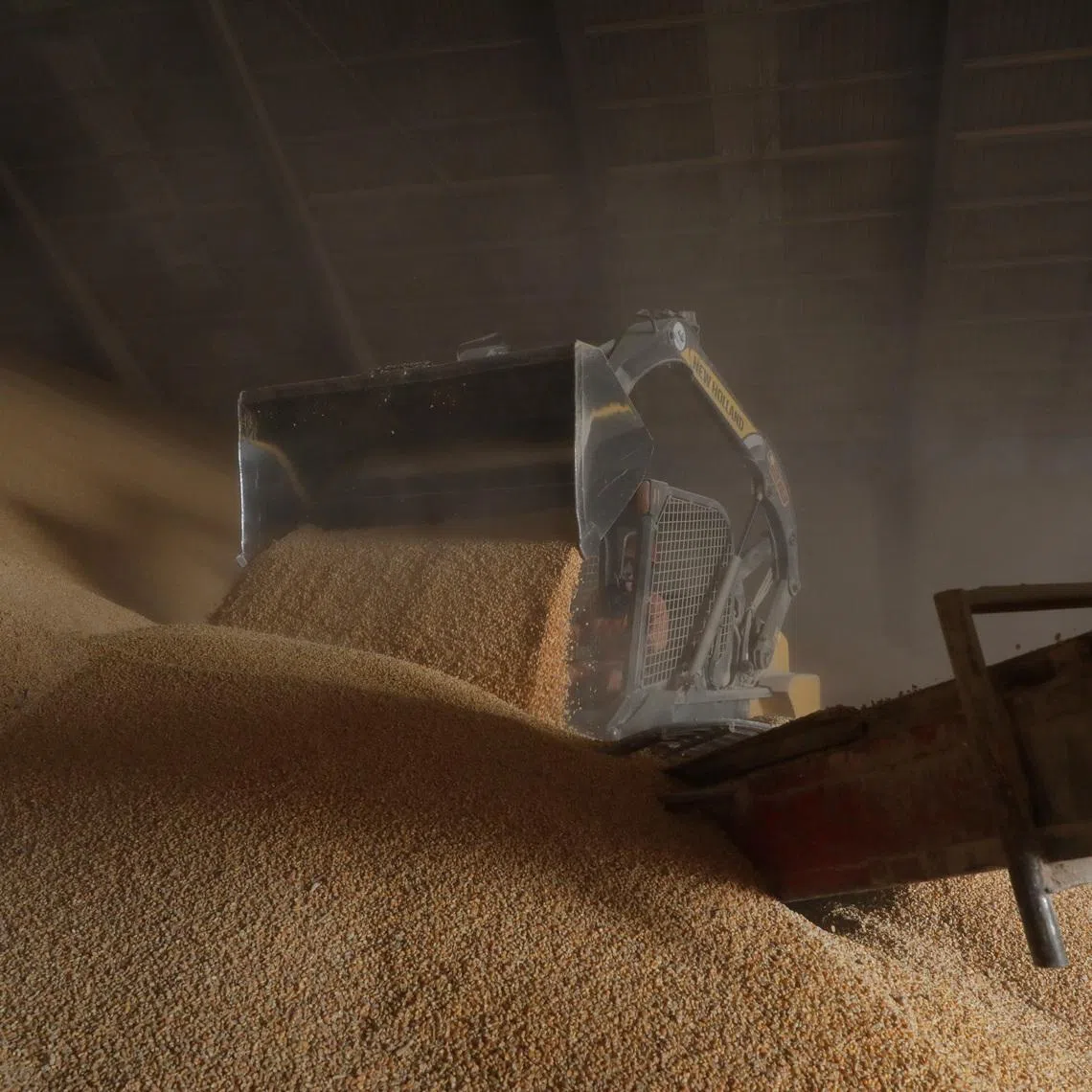 An employee uses a skid-steer loader to push stored corn imported from Brazil to load a tractor trailer at a warehouse in the terminal port of Portimex in Tuxpan, in Veracruz state, Mexico February 21, 2018.  REUTERS/Henry Romero