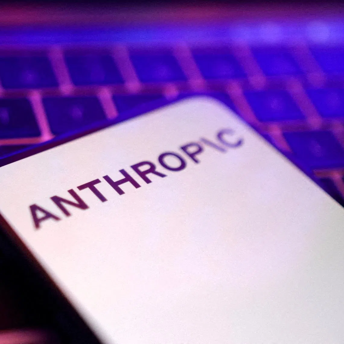 FILE PHOTO: Anthropic logo is seen in this illustration taken May 20, 2024. REUTERS/Dado Ruvic/Illustration/File Photo