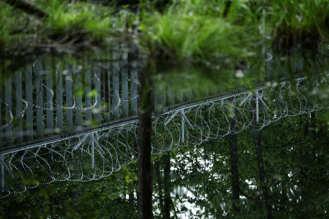 A fence with the concertina razor wire is reflected in water in a swampy area at the Belarusian-Polish border in the forest near Bialowieza, Poland, June 4, 2024. REUTERS/Kacper Pempel/ File Photo