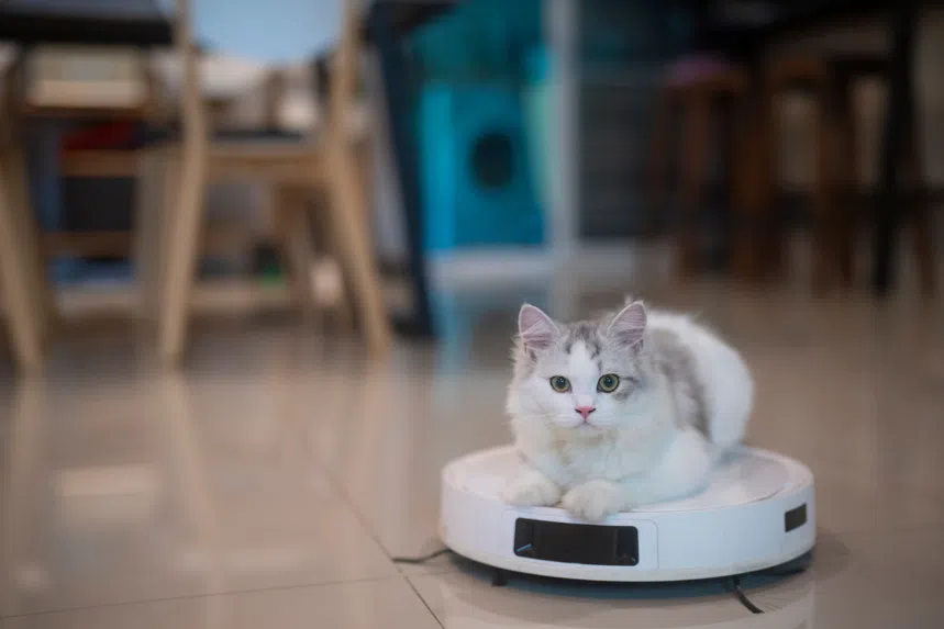 Best robot vacuum
