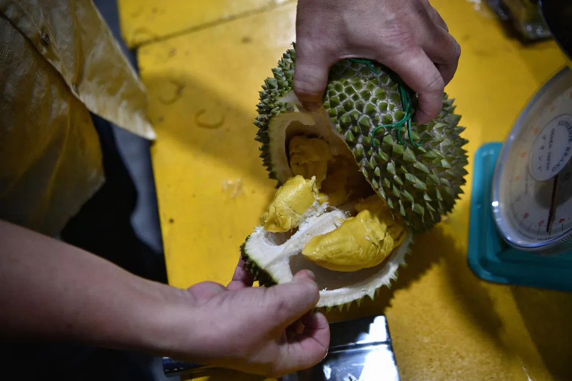 With durians in season now and being sold at reasonable prices, more people are expected to snap up the fruit. 