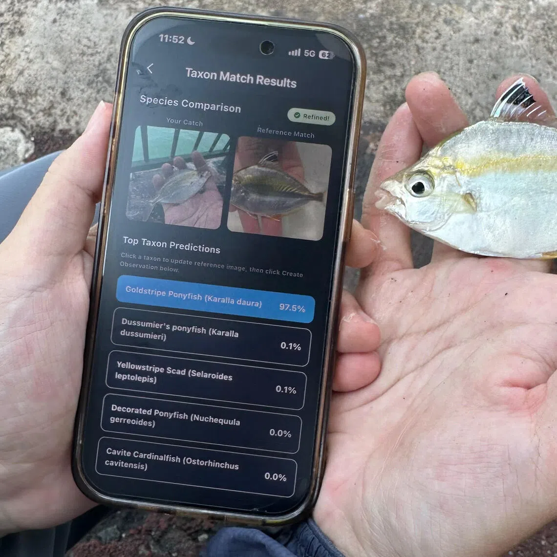 To build the app’s computer vision model, Sng, who is the lead developer of the mobile app, collated and vetted more than 90,000 photos of fish species found near Singapore and neighbouring waters.