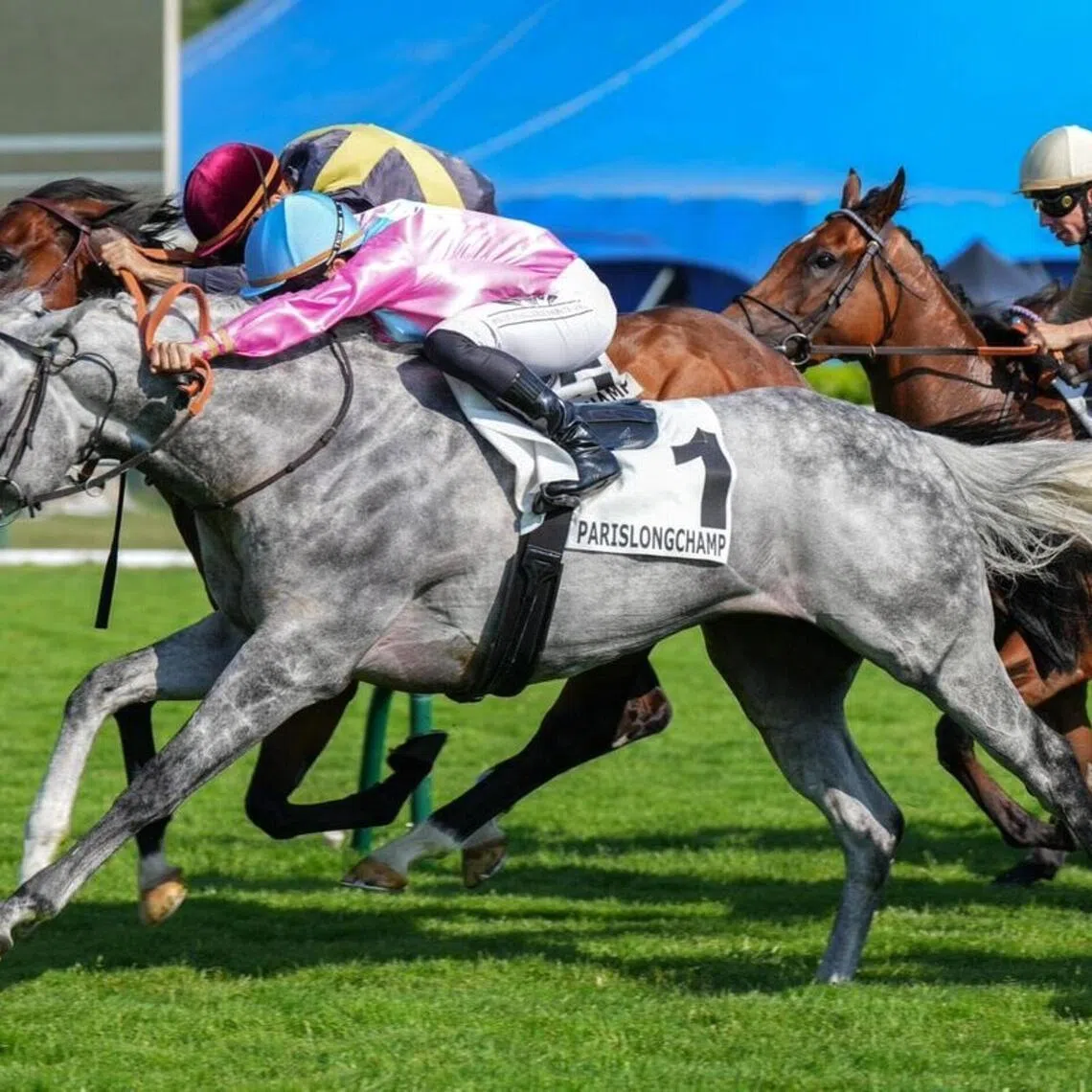 King Gold - King Gold and Stephane Pasquier combining for a third successive win in the Group 3 Prix de la Porte Maillot (1,400m) at ParisLongchamp on June 19, 2025. With Pasquier committed to Royal Ascot, trainer Nicolas Caullery has booked Aureline Lemaitre for the grey's attempt at a record fourth win on June 18.

