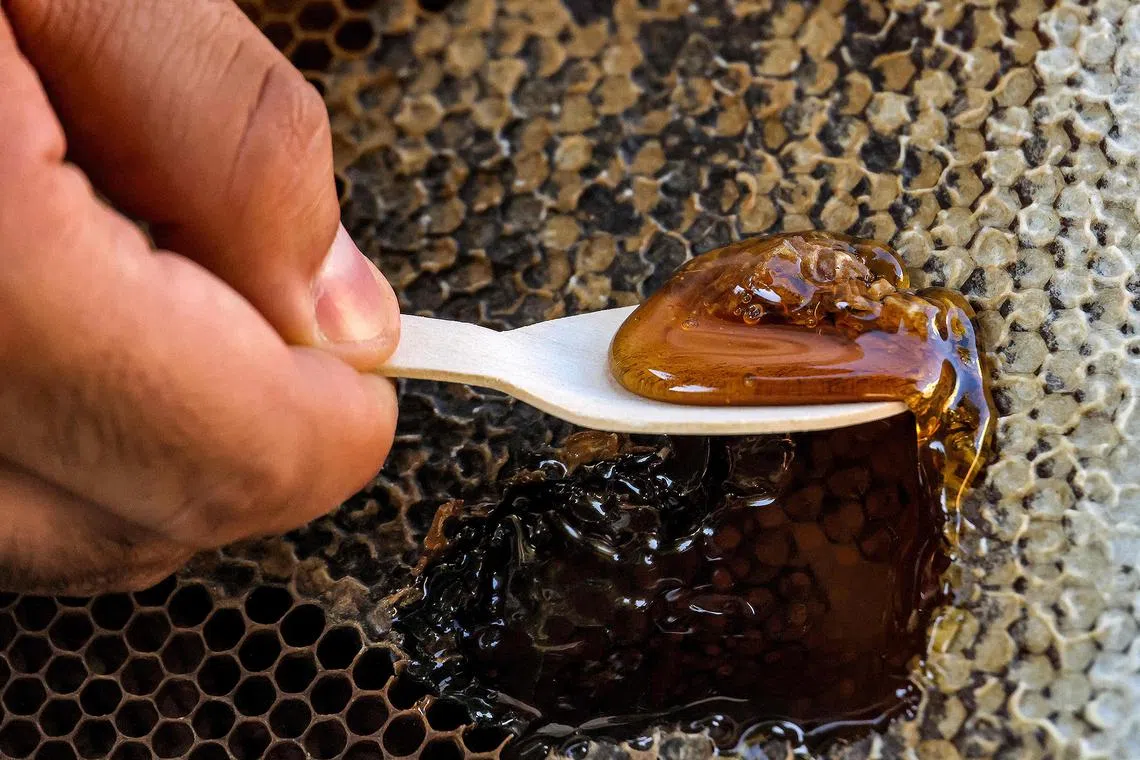 A beekeeper scooping honey from a beehive frame.