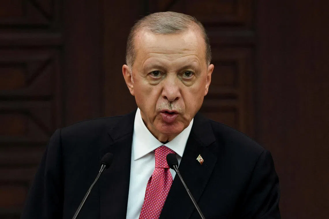 Mr Erdogan (above) made the comments in a telephone call with Dutch Prime Minister Mark Rutte.