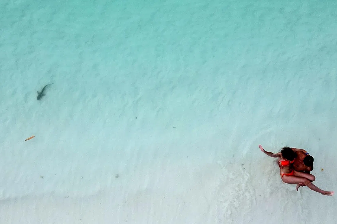 Tourists pose for a picture as a newborn blacktip reef shark swims by the shore of the beach in Maya Bay on Feb 24, 2023. 