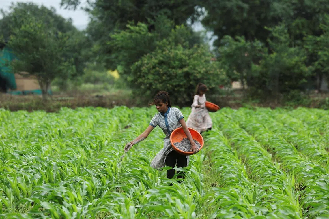 India eyes biofertilisers after Middle East war stoked supply fears