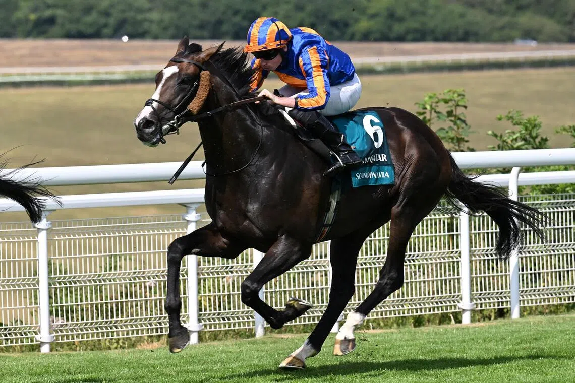 Scandinavia - Scandinavia (Ryan Moore) rallying strongly towards an emphatic win in the Group 1 Goodwood Cup (3,200m) on July 28.

PHOTO: GOODWOOD.COM