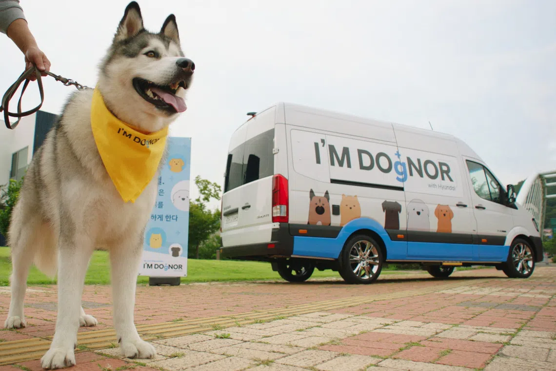 Hyundai Motor Group’s “I’m Dognor” campaign has operated mobile canine blood donation vehicles at various locations across the country.