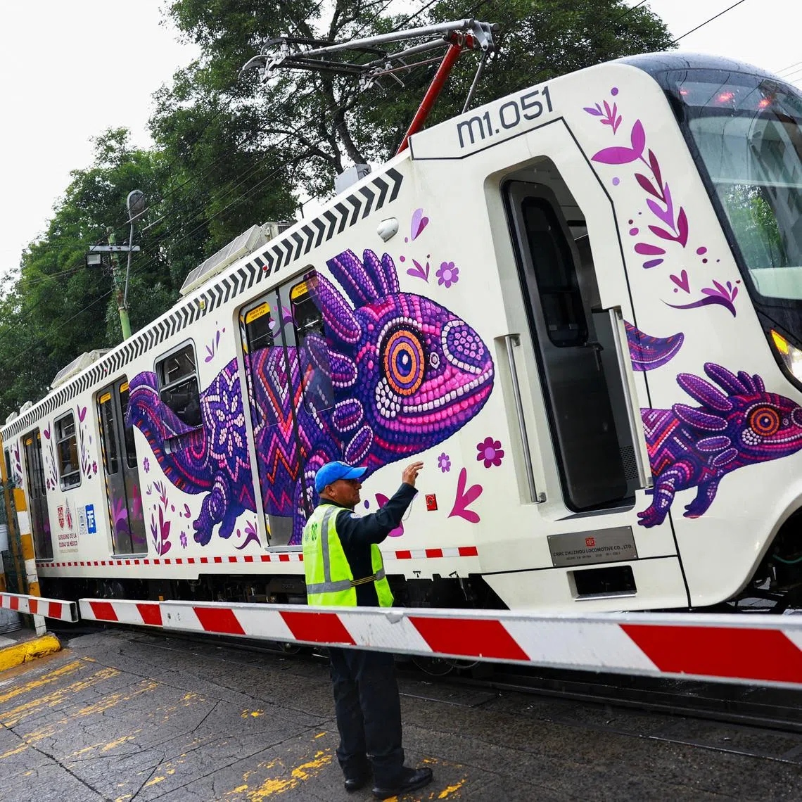 A crossing keeper gestures as a train car featuring an image of the critically endangered axolotl, a salamander native to central Mexico's lakes, passes by, in Mexico City, Mexico, May 27, 2026. The use of axolotl in public imagery ahead of the FIFA World Cup 2026 has divided residents who say more should be done to protect its habitat. REUTERS/Raquel Cunha     TPX IMAGES OF THE DAY