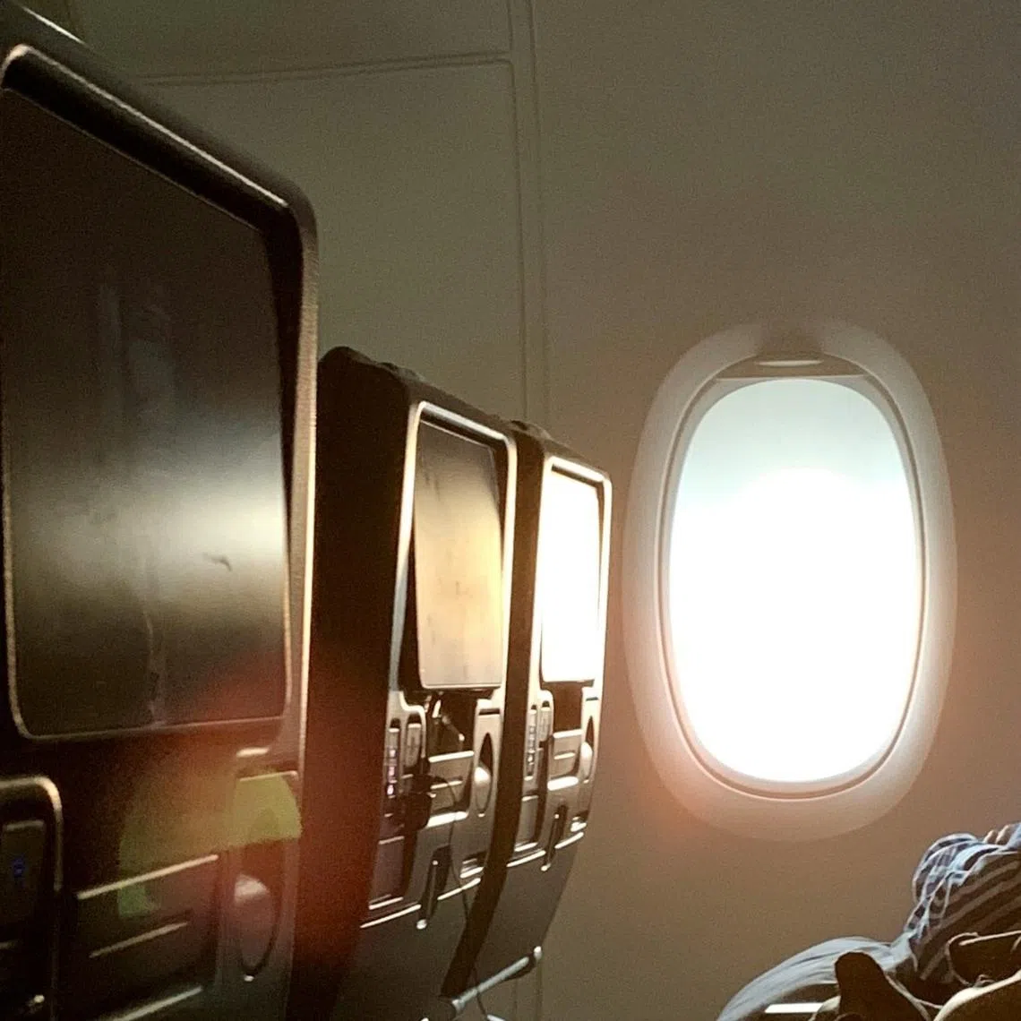 Airlines also typically use versions of films in which the most graphic scenes have been cut or altered.