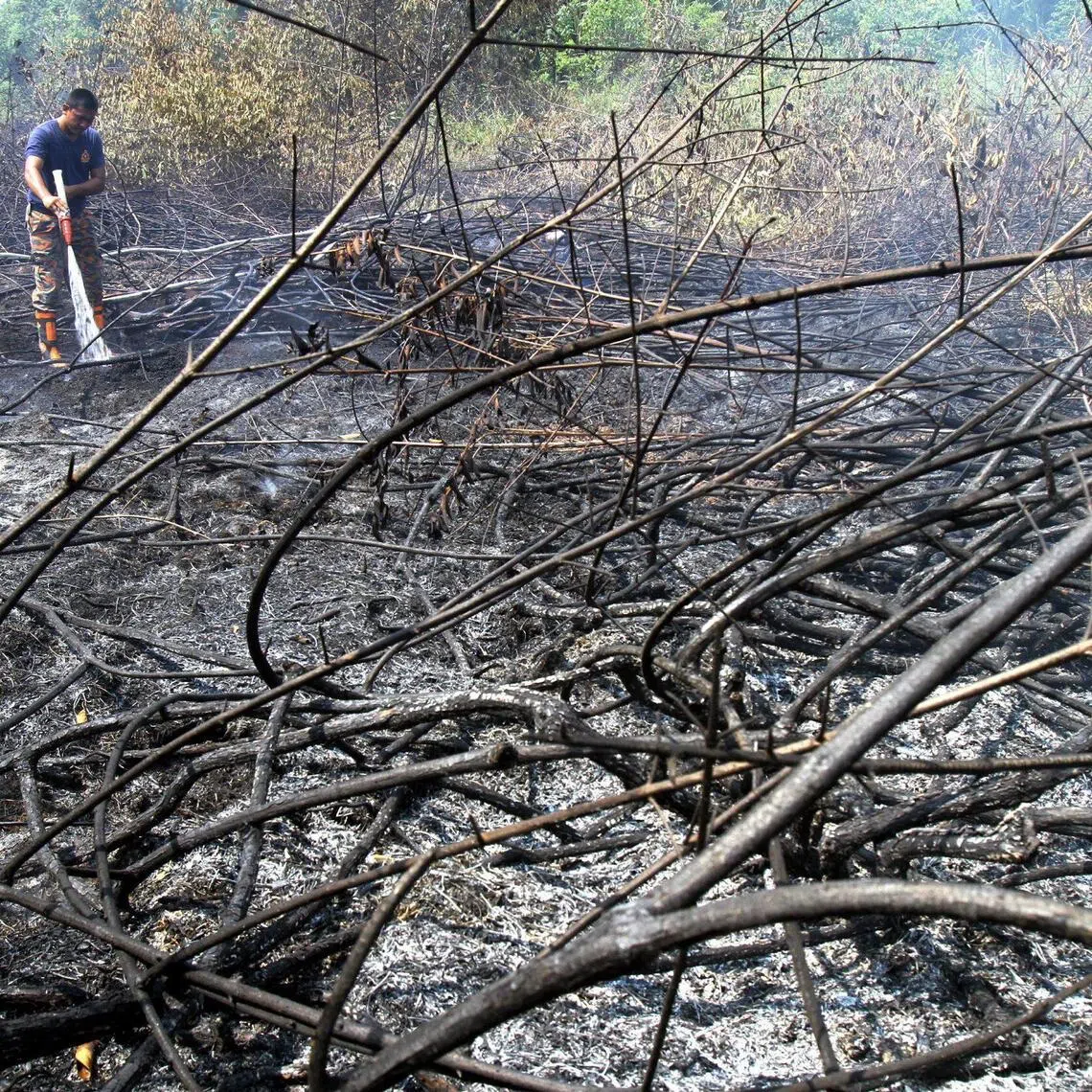 Over 3,000 open-burning incidents have been recorded in Johor since January 2026.