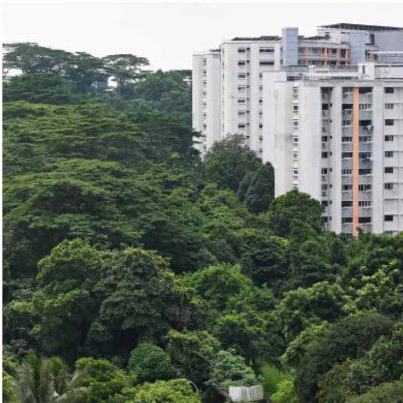 Public reaction to changes for (clockwise from left) Maju Forest, Gillman Barracks and Tan Boon Liat Building reveals a broader shift in how Singaporeans think about land and its value.