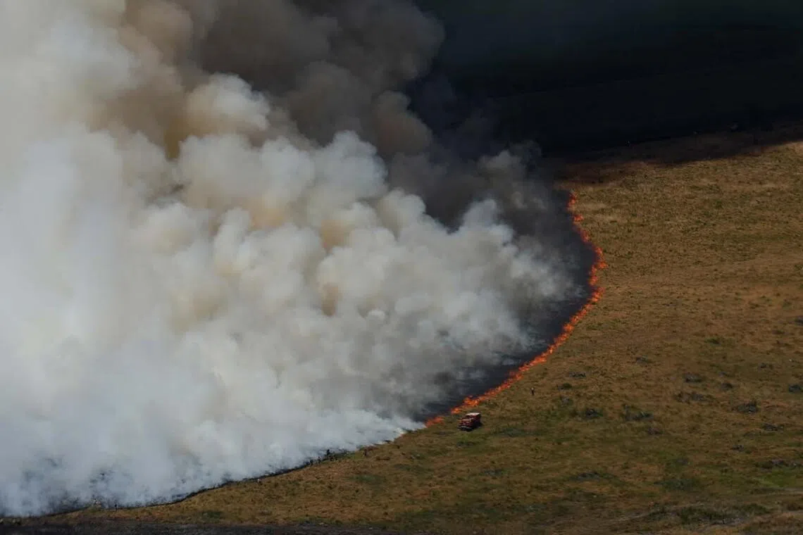 Firefighters work to suppress a wildfire near Ares, southwestern France, Tuesday, July 28, 2026. Baz Ratner/Pool via REUTERS TPX IMAGES OF THE DAY