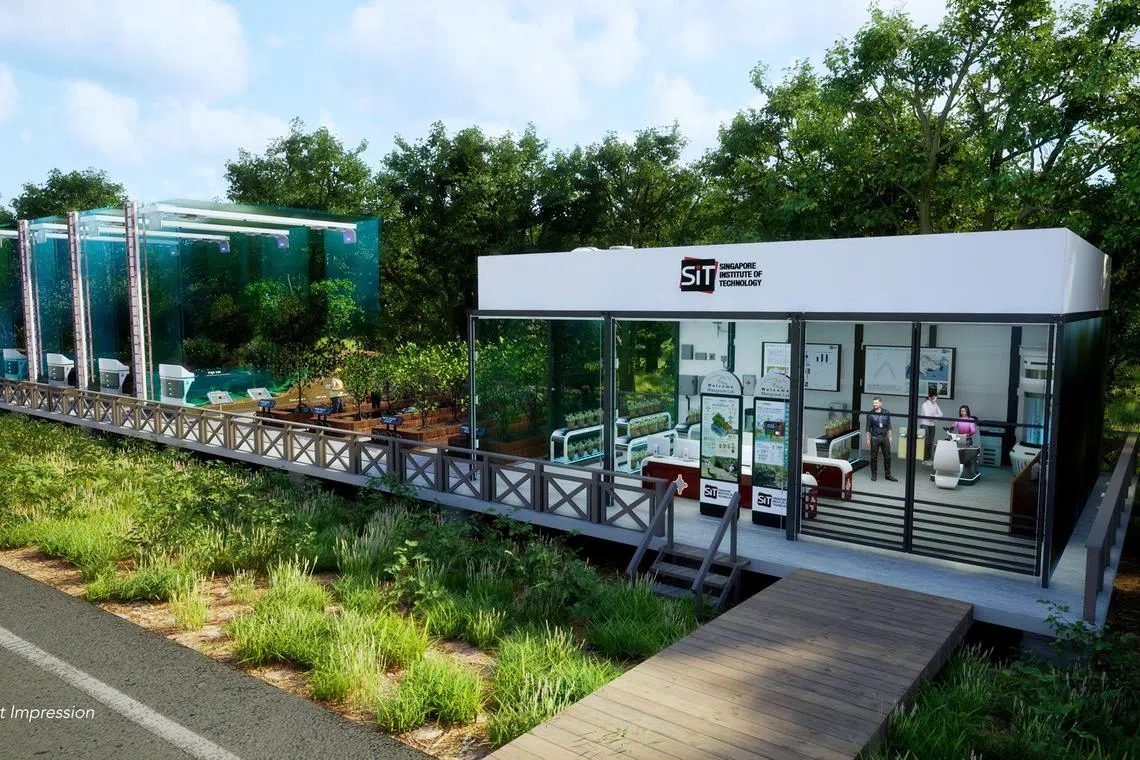 aymangrove23 - An artist's impression of the new SIT mangrove conservatory.


Singapore Institute of Technology (SIT)