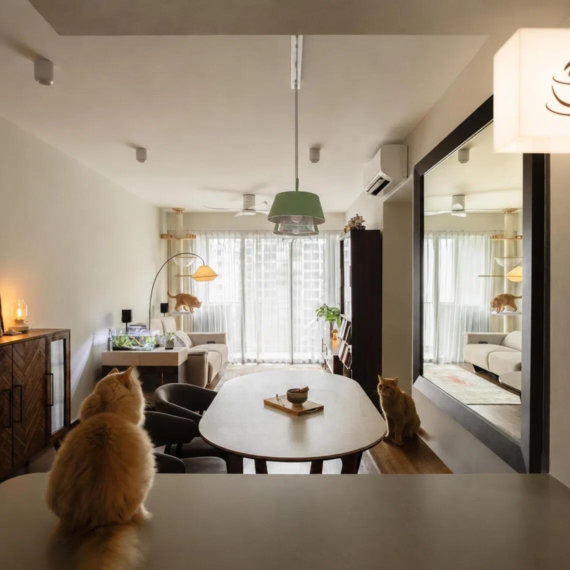 For a multi-pet household with four cats, two dogs and a fish, each occupant – human and animals – has different needs.