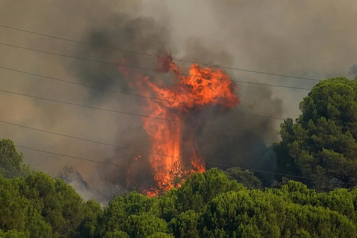 Flames emerge from a wildfire in San Martin de Valdeiglesias in Spain in July 26.