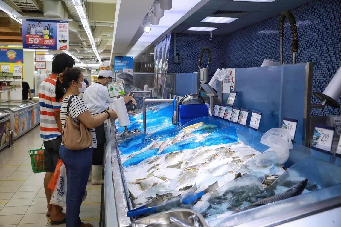 Shoppers browsing at the seafood section of NTUC FairPrice in Bedok Town Centre on July 18, 2021. There was no queue or rush to buy these supply on site. 
