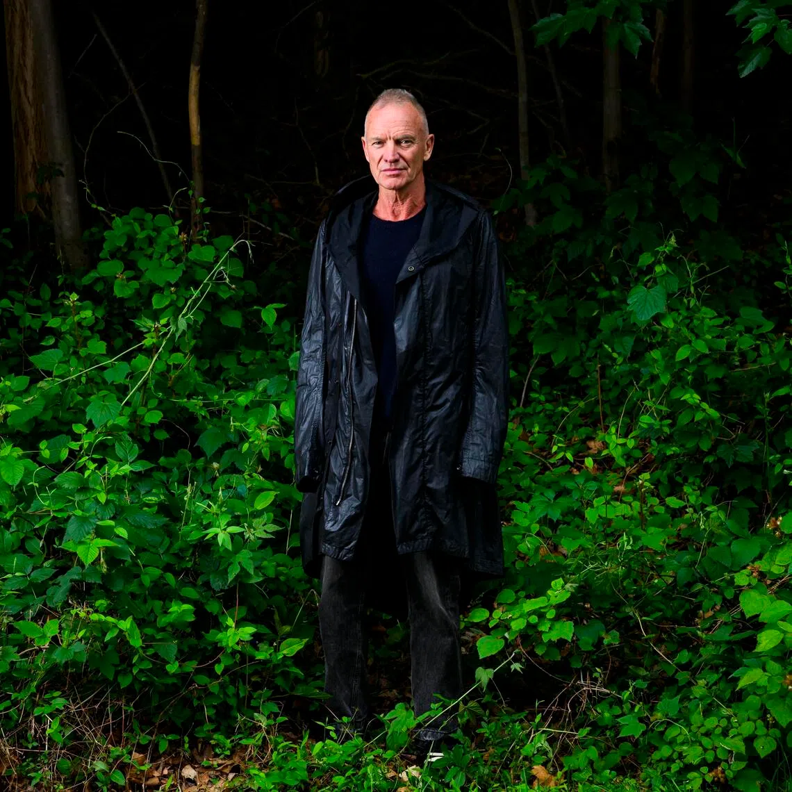 Sting's musical "The Last Ship", cut short during its 2014 and 2020 tours, has had recent runs in Amsterdam, Paris and Brisbane, Australia and will at open at the Metropolitan Opera in New York City, where it will be staged nine times over six days.