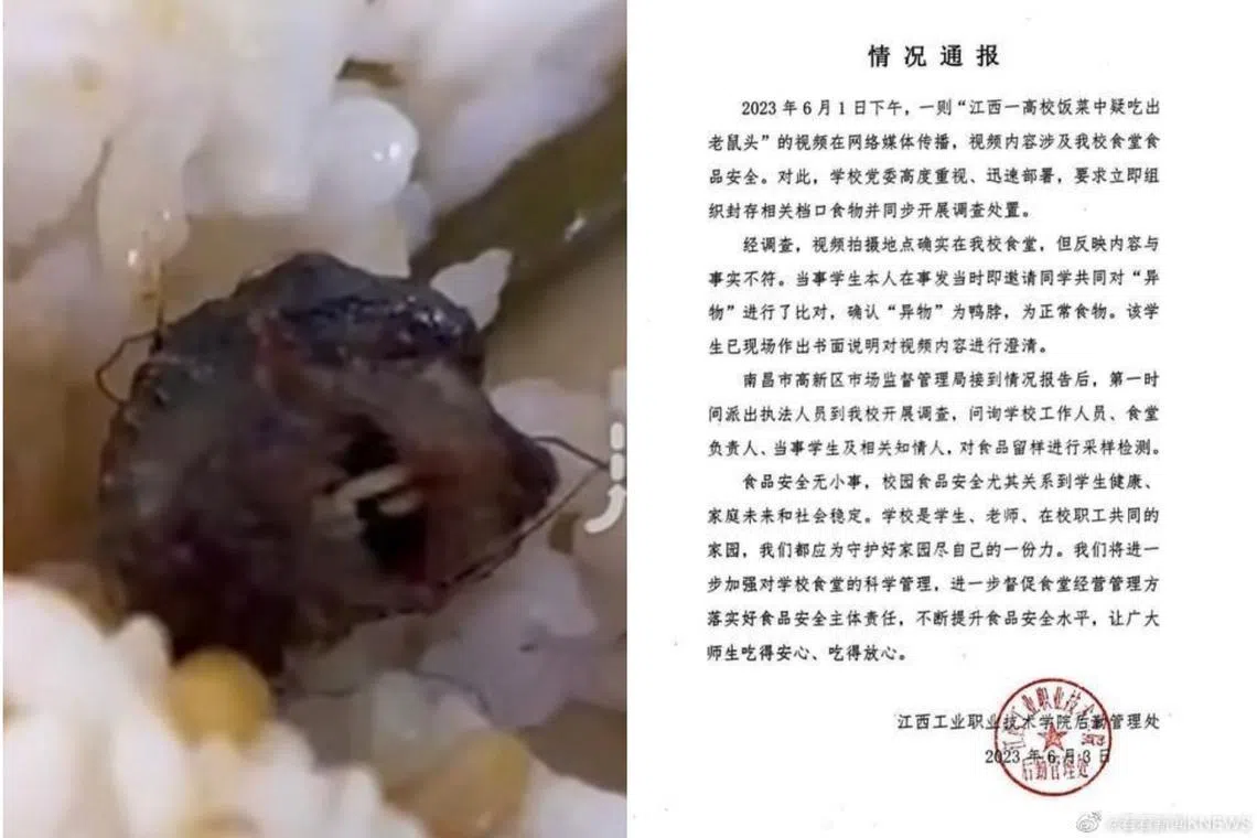 The college put up a notice clarifying that the foreign object in the student's meal was a duck.