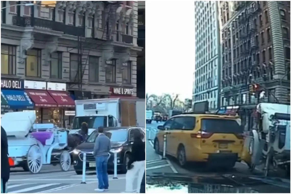 Videos showed the horse dashing through the intersection and its carriage sideswiping a taxi.