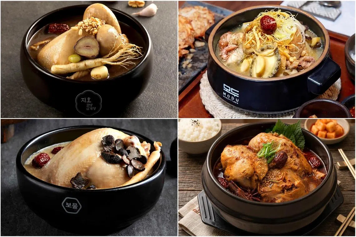(Clockwise from top left) Jiho Samgyetang SBCD's Black Garlic Samgyetang, Modu High's Chicken Seafood Samgyetang, Korea Culture's Fire Mala samgyetang, Bomul Samgyetang's Black Truffle soup.