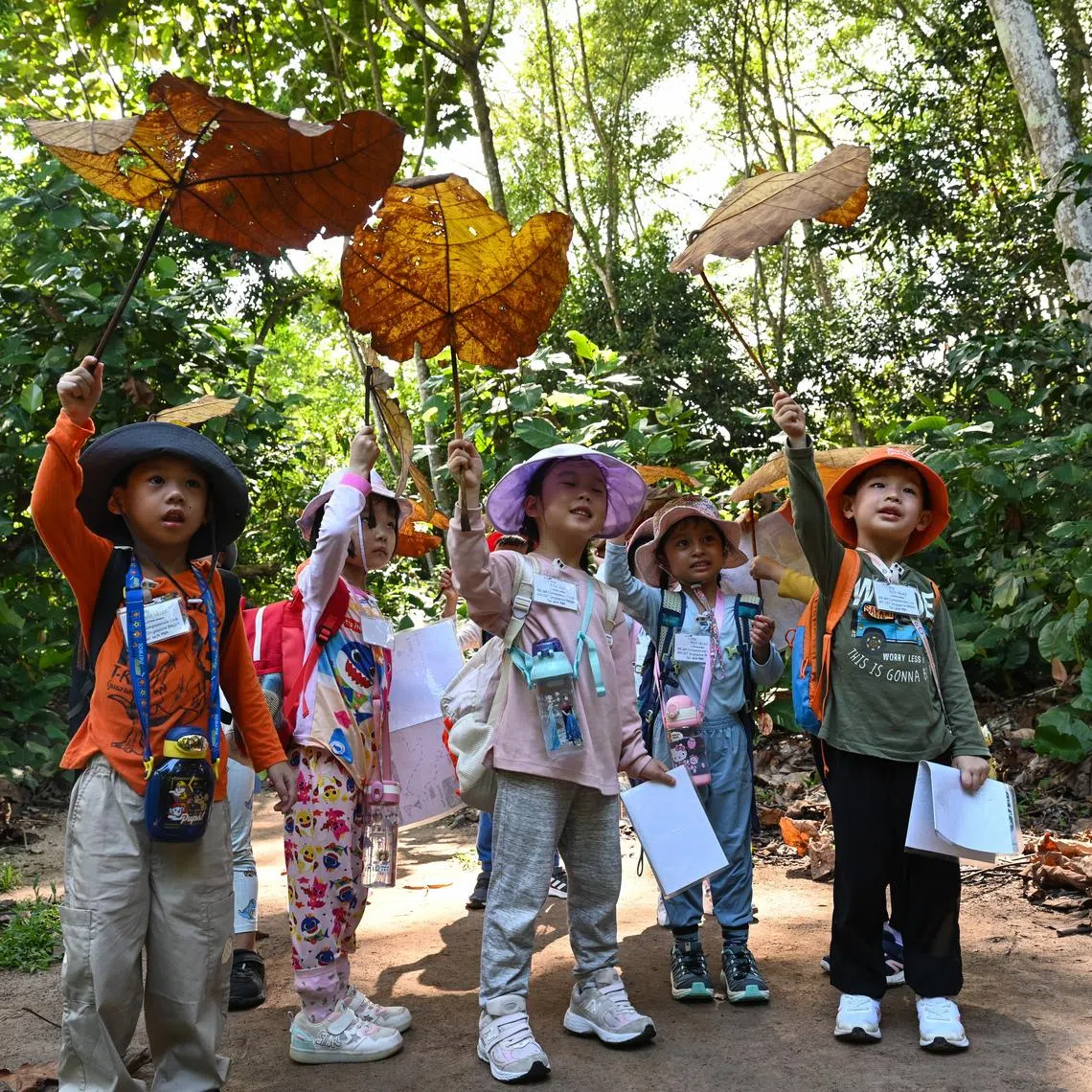 Child Development Accounts aim to set up children for life by equipping them with assets that generate long-term returns, whether human capital or financial assets.