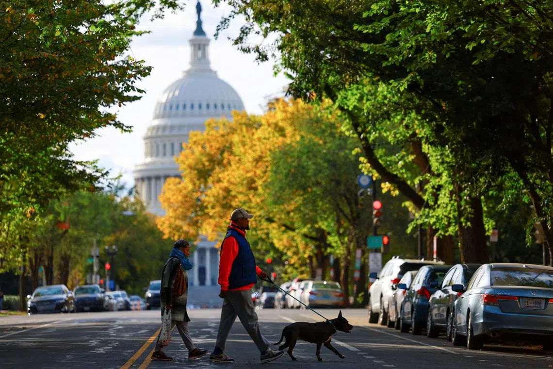A couple walks with a dog near the U.S. Capitol building, in Washington, U.S. October 15, 2024. REUTERS/Jose Luis Gonzalez/File Photo