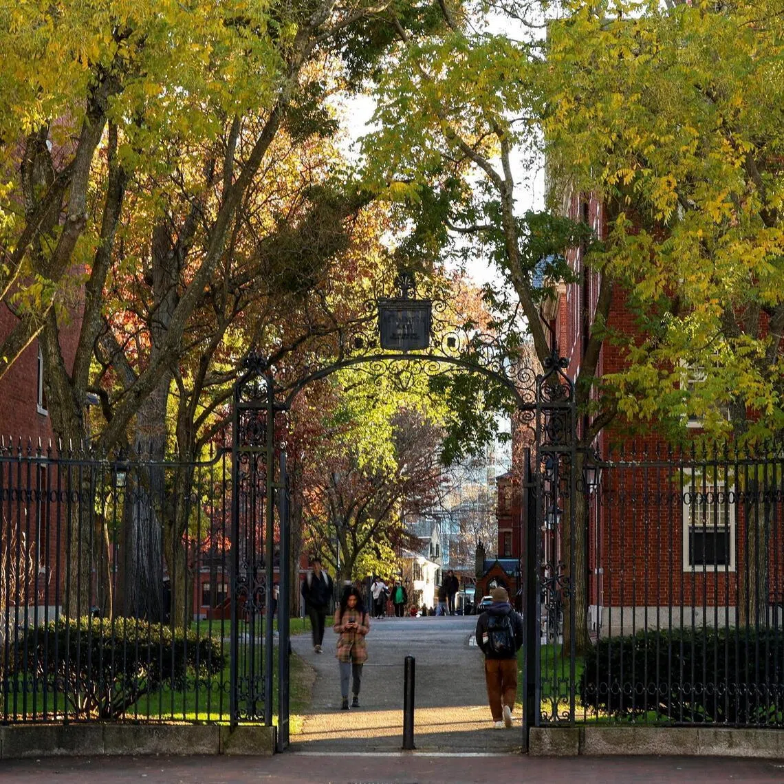 Harvard University managed to buck the trends, enrolling a record number of international students this academic year.