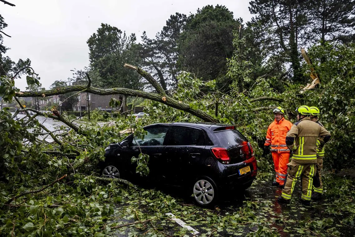 At least two people were injured in Amsterdam as trees fell on their cars as a summer storm swept across the Netherlands.