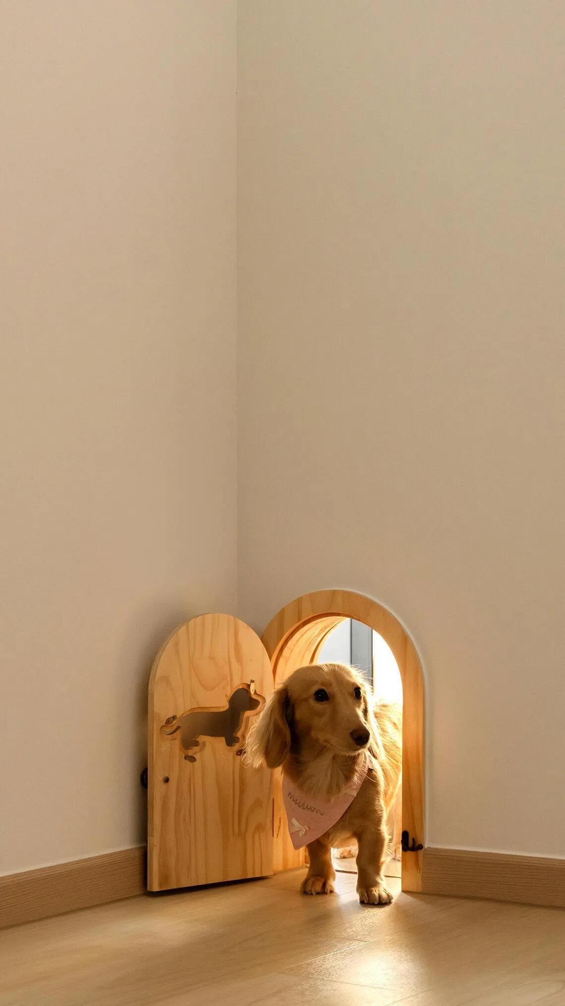 A doggy door that connects a bedroom to the balcony.