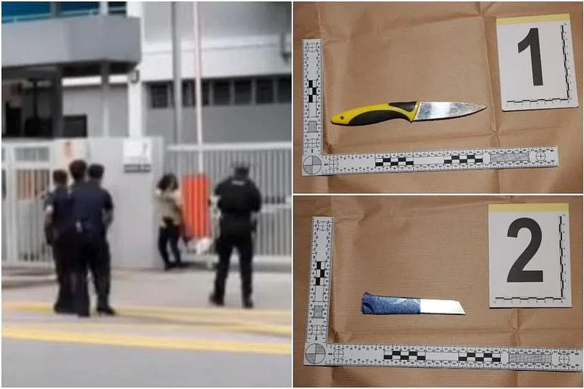 Juliana Abdul Kadir allegedly had in her possession a knife and a penknife blade outside the school on Sept 19.