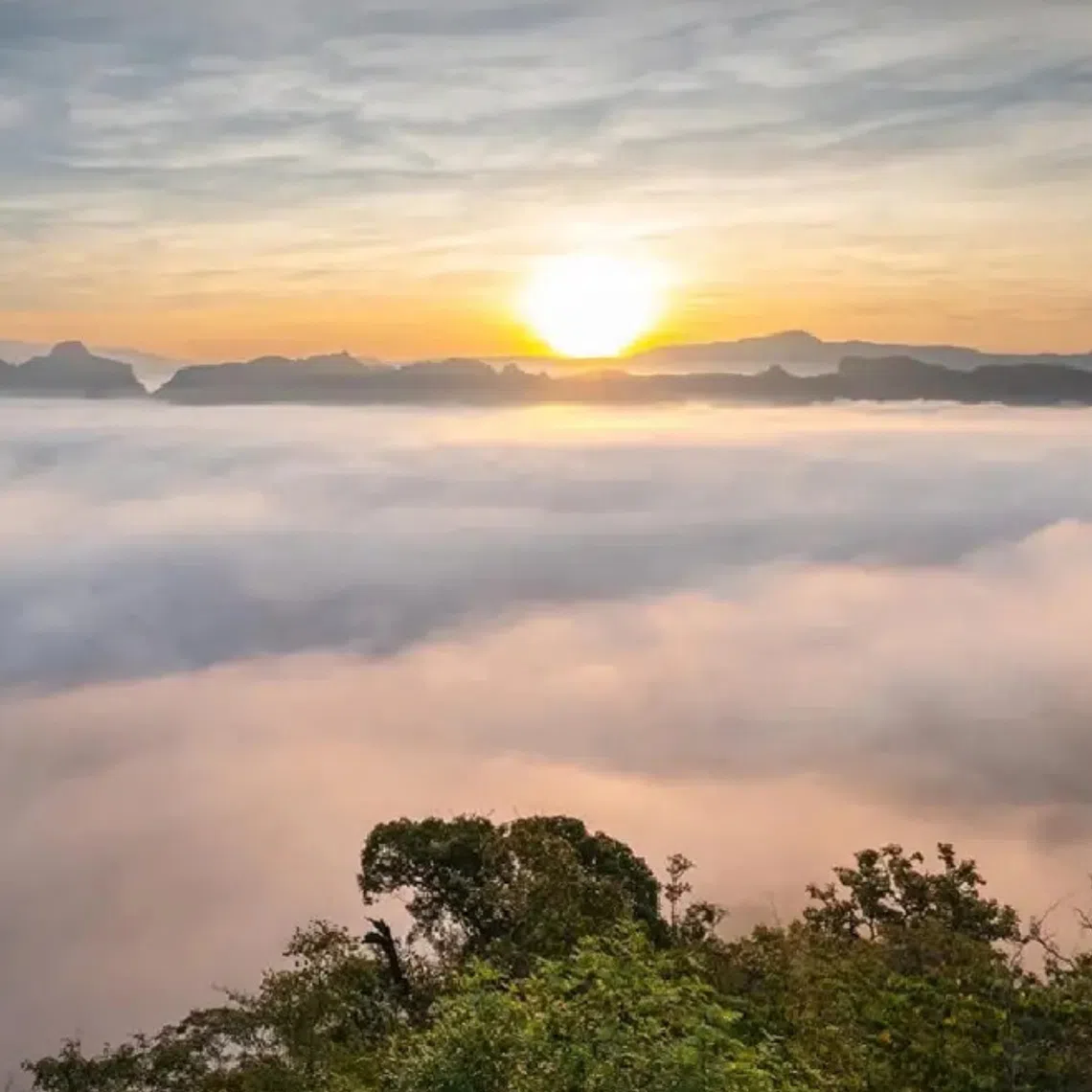 Average minimum temperatures across upper Thailand are expected to be around 22 to 23 deg C, about 2 deg C above the normal average of 19.9 deg C.