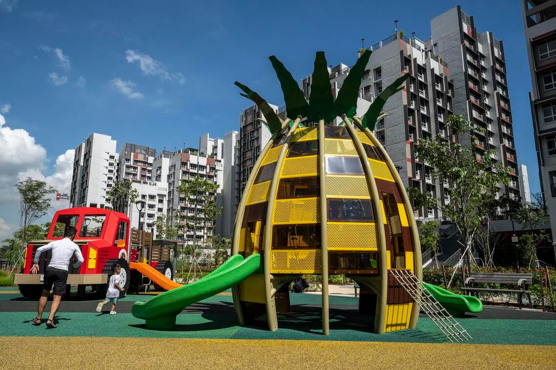 Pineapple-themed playground in Plantation Farmway in Tengah that is a nod to the area's former fruit plantations, villages and farms.


CREDIT: HDB