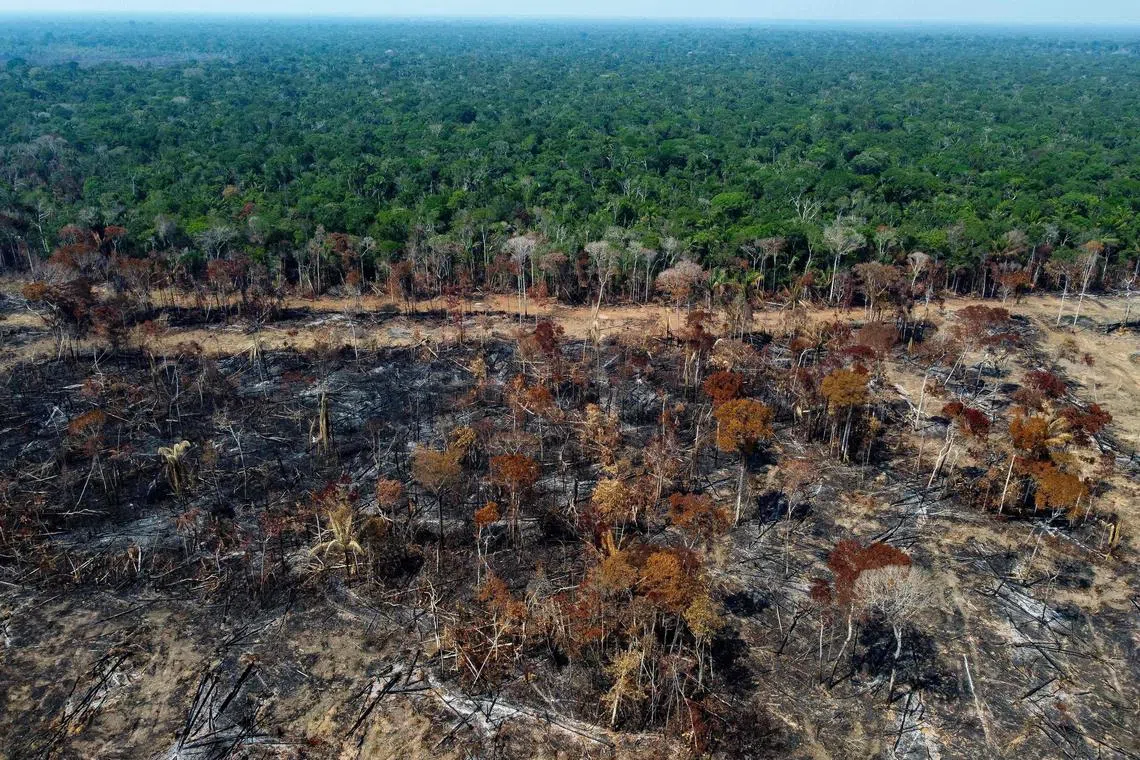 (FILES) A deforested and burnt area is seen on a stretch of the BR-230 (Transamazonian highway) in Humaita, Amazonas State, Brazil, on September 16, 2022. Earth lost an area of carbon-absorbing rainforest larger than Switzerland or the Netherlands in 2022, most of it destroyed to make way for cattle and commodity crops, an analysis of satellite data released on June 27, 2023, revealed. That is nearly a football pitch of mature tropical trees felled or burned every five seconds, night and day, and 10 percent more than the year before, according to the World Resources Institute (WRI). (Photo by MICHAEL DANTAS / AFP)