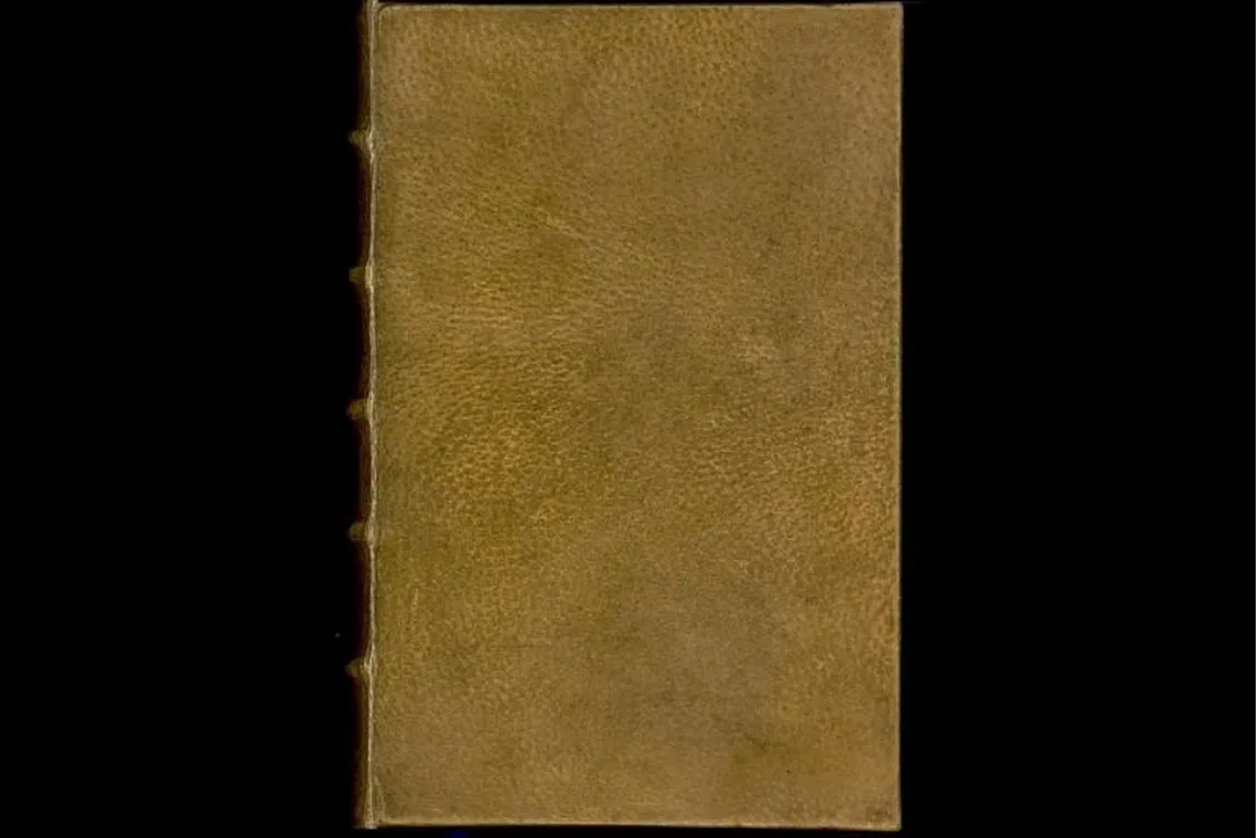 The book Des destinees de l'ame, by Arsene Houssaye (1815-1896), is pictured in this undated handout photo courtesy of Harvard College Library Digital Imaging Group, Harvard University.