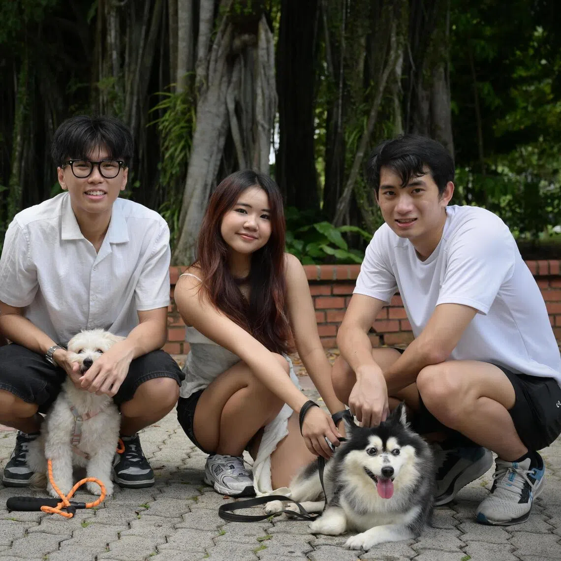 Four recent poly graduates created Wagglo, an app that allows dog owners to find new friends for their pets. The Wagglo team comprises (left to right) Pang Ben Yang, 20, Timus Tan Shao Qi, 20, Cailin Yeo Yao Can, 20, and Ervin Ng Yu Boon, 22. Posing with the team are also Tan’s dog, two-year-old Taffy, and Yeo’s dog, seven-year-old Doya.