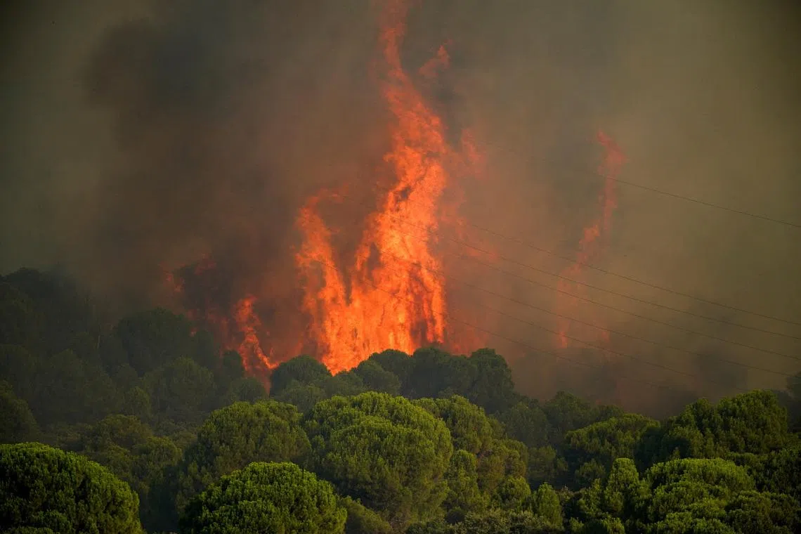 Flames emerge from a wildfire in San Martin de Valdeiglesias, Avila, Spain July 26, 2026. REUTERS/Ana Beltran