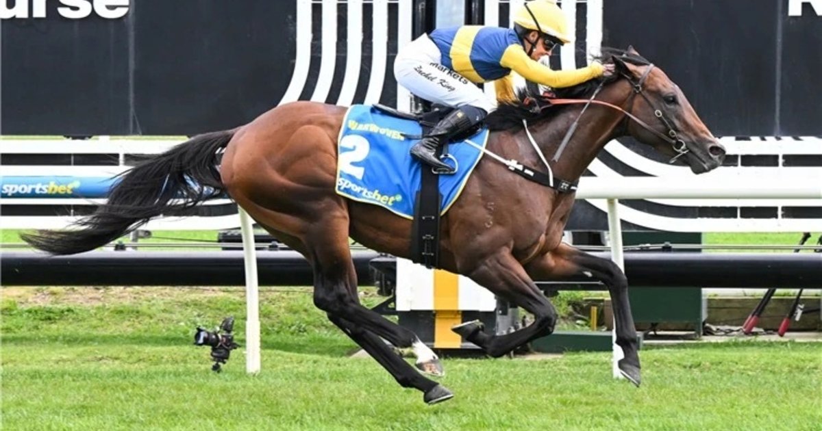 Warwoven reigns at Caulfield