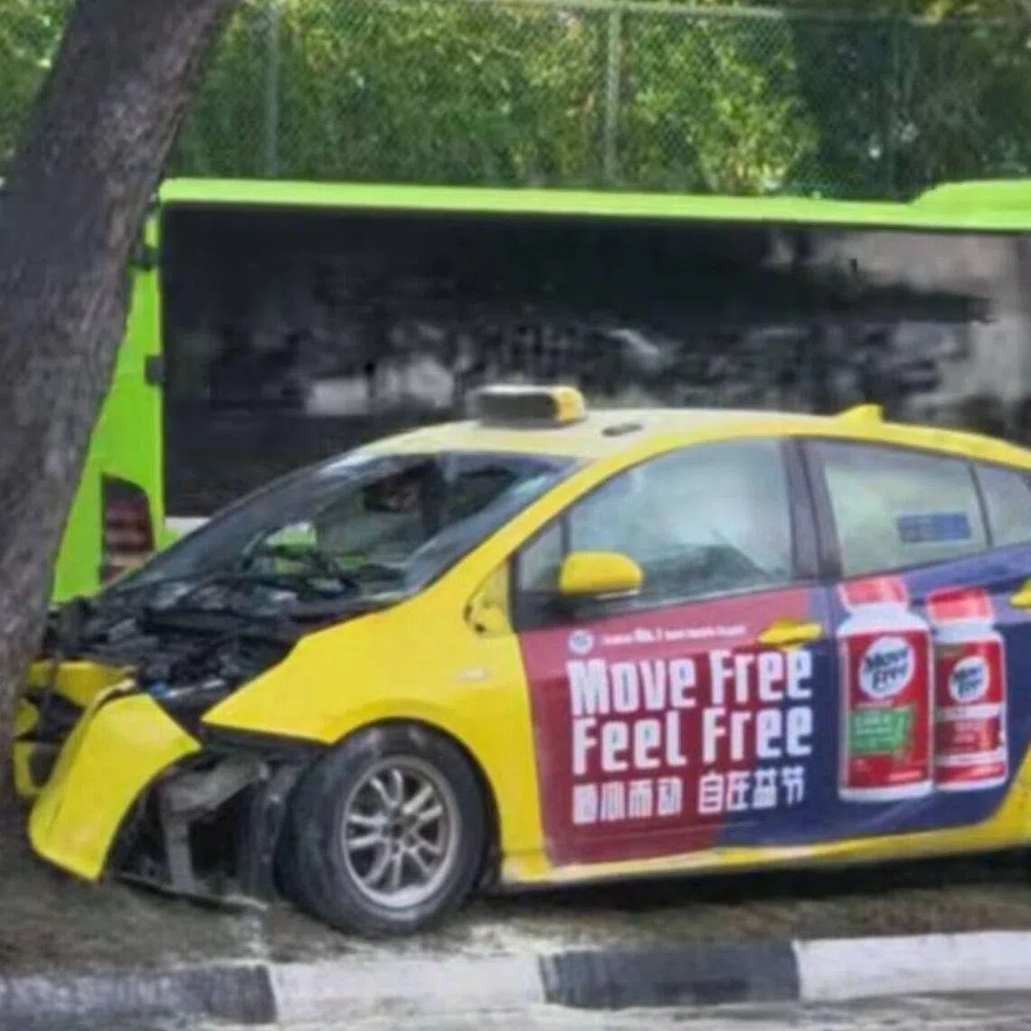 A taxi crashed into a tree during the accident.