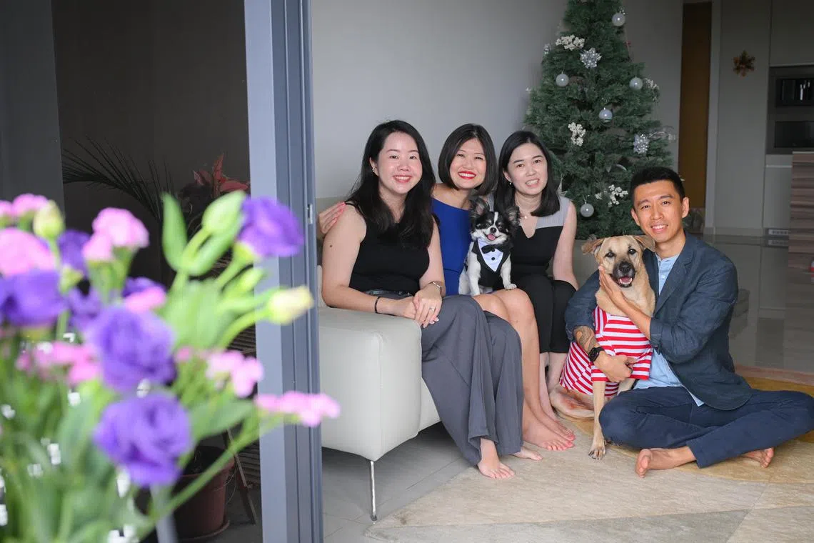 ST20241219_202473600319/elpetxx/Shintaro Tay/Elaine Lee/

Some companies in Singapore have started to offer pet care leave to its employees. One of them is Brave Communications, a boutique PR firm.