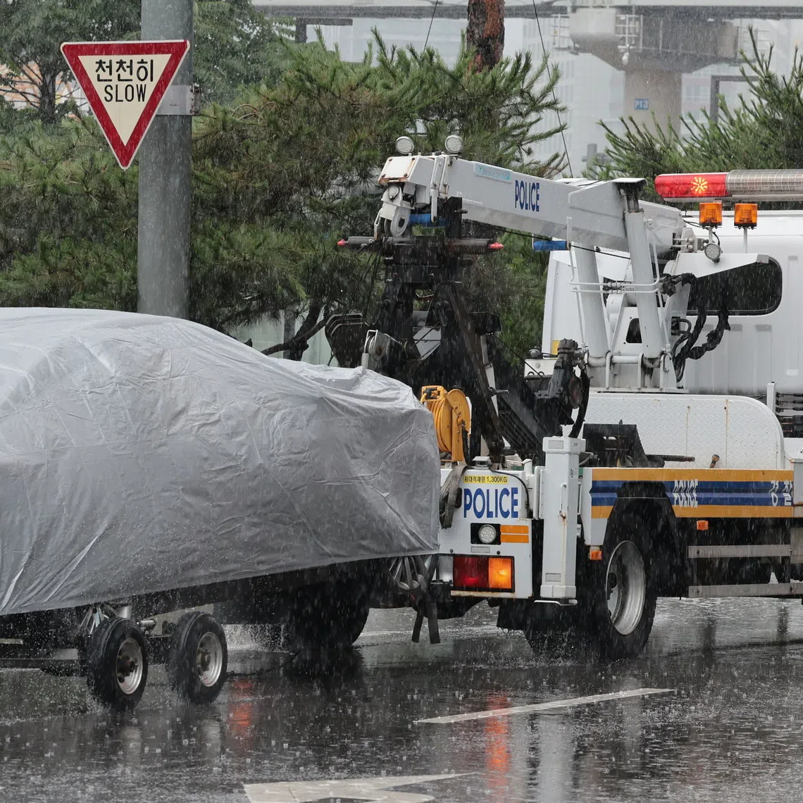  There were 42,369 car accidents caused by those 65 and older in 2024. 