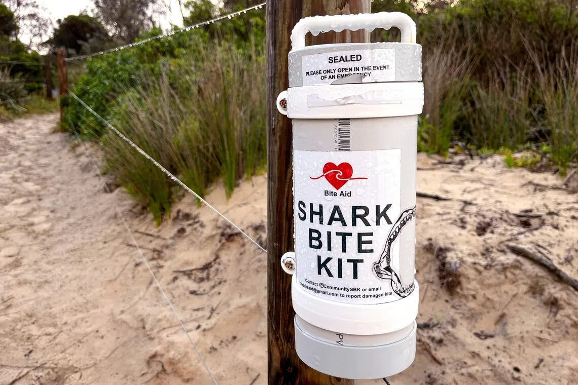 Shark encounters remain statistically rare.