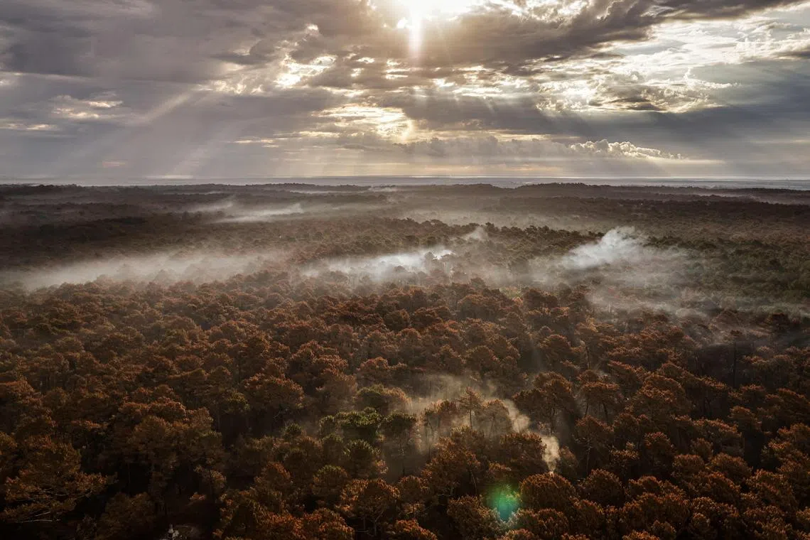 FILE PHOTO: In this file photo taken on July 29, 2022, smoke billowing above damaged forest after wildfires near La Teste-de-Buch, southwestern France. 