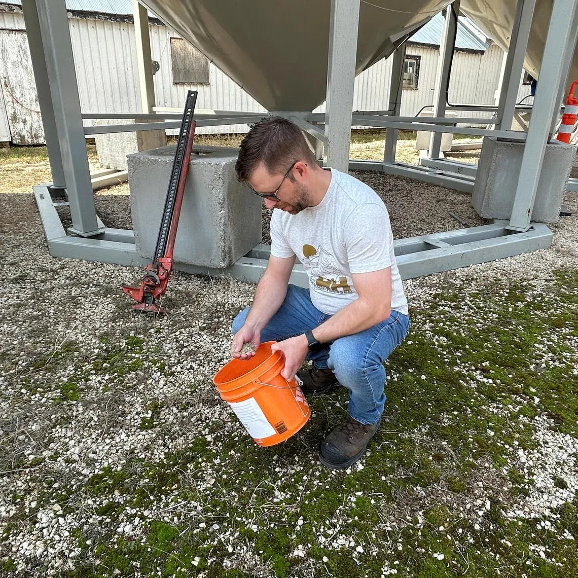 Farmer Lorne Boundy checks out a sample of ryegrass, which is one of the types of grass seed being used for the 2026 World Cup.