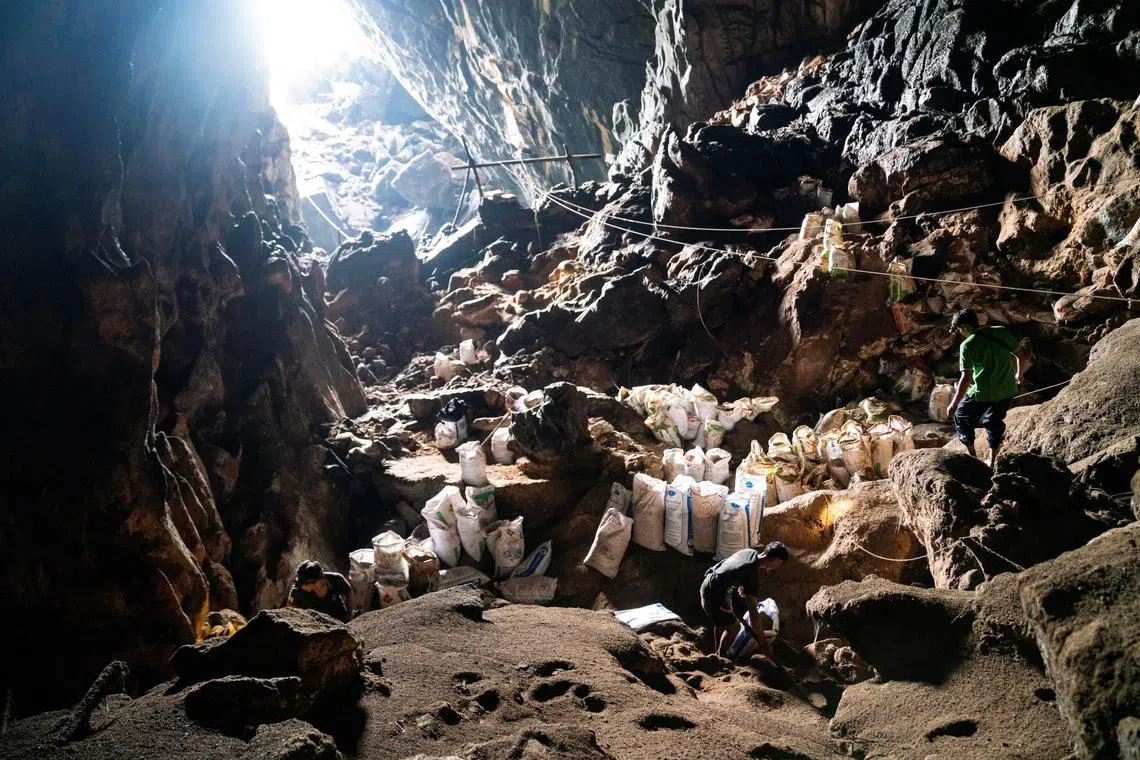 Men shovel bat droppings, or guano, inside the Pha Laung cave in Laos, July 16, 2022.    REUTERS To match Special Report GLOBAL-PANDEMICS/BATS-DEFORESTATION