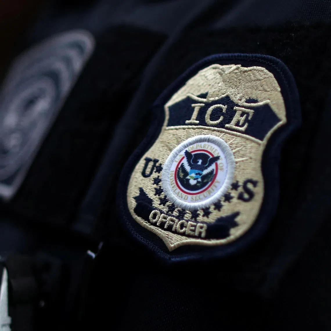 ICE dismissed the charges as "unlawful and nothing more than a political stunt”.