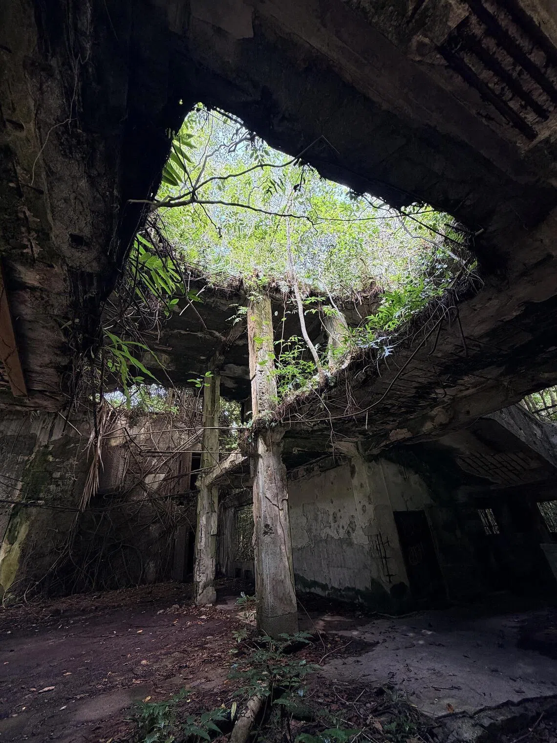 Peleliu Island is known as the site of one of WWII’s fiercest battles.